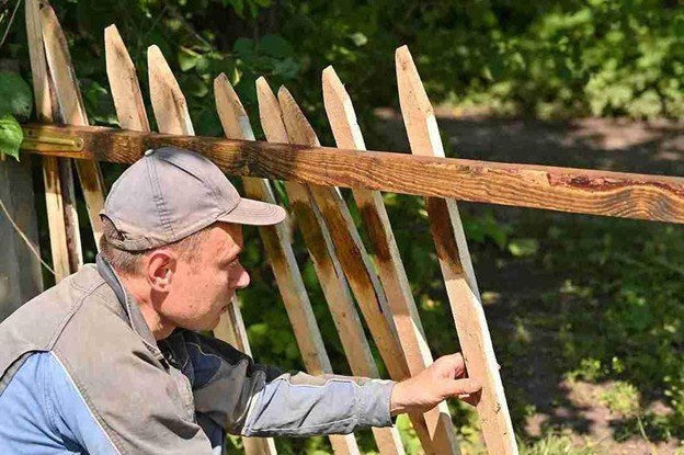 Worker inspecting and adjusting damaged wooden fence pickets during a repair project in a wooded area.